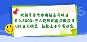 （10647期）视频号带货鲁班经暴利项目，日入5000+，穷人逆风翻盘必做项目，0投资…-优优云创网