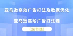 （10649期）亚马逊高效广告打法及数据优化，亚马逊高阶广告打法课-优优云创网
