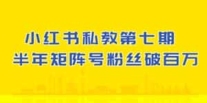 (10650期)小红书-私教第七期,小红书90天涨粉18w,1周涨粉破万 半年矩阵号粉丝破百万-优优云创网