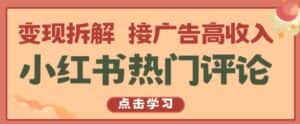 小红书热门评论，变现拆解，接广告高收入【揭秘 】-优优云创网