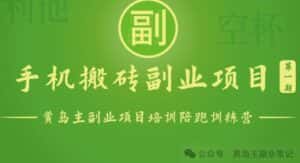 手机搬砖小副业项目训练营1.0，实测1小时收益50+，一部手机轻松日入100+-优优云创网