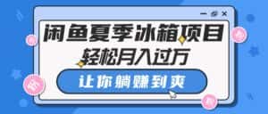 （10673期）闲鱼夏季冰箱项目，轻松月入过万，让你躺赚到爽-优优云创网