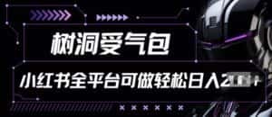 小红书等全平台树洞受气包项目,轻松日入一两张-优优云创网