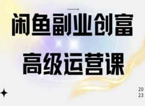 闲鱼电商运营高级课程，一部手机学会闲鱼开店赚钱-优优云创网