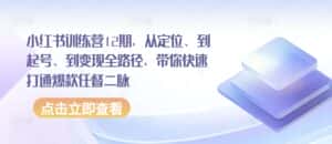 小红书训练营12期，从定位、到起号、到变现全路径，带你快速打通爆款任督二脉-优优云创网