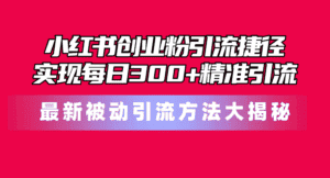 (10692期)小红书创业粉引流捷径!最新被动引流方法大揭秘,实现每日300+精准引流-优优云创网