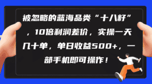 （10696期）被忽略的蓝海品类“十八籽”，10倍利润差价，实操一天几十单 单日收益500+-优优云创网