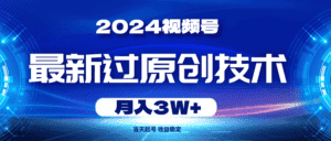 (10704期)2024视频号最新过原创技术,当天起号,收益稳定,月入3W+-优优云创网