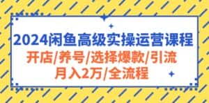 (10711期)2024闲鱼高级实操运营课程:开店/养号/选择爆款/引流/月入2万/全流程-优优云创网