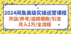 2024闲鱼高级实操运营课程:开店/养号/选择爆款/引流/月入2万/全流程-优优云创网