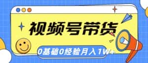 (10723期)视频号轻创业带货,零基础,零经验,月入1w+-优优云创网
