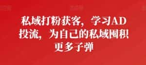 私域打粉获客,学习AD投流,为自己的私域囤积更多子弹-优优云创网