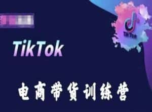 TikTok电商带货训练营,跟随时代潮流,跨境掘金-优优云创网