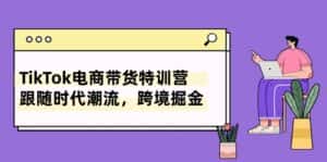 (10730期)TikTok电商带货特训营,跟随时代潮流,跨境掘金(8节课)-优优云创网