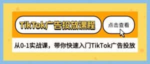 (10731期)TikTok广告投放课程,从0-1实战课,带你快速入门TikTok广告投放(30节课)-优优云创网