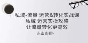 (10739期)私域-流量 运营&转化实操课:私域 运营实操攻略 让流量转化更高效-优优云创网