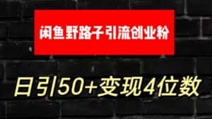 大眼闲鱼野路子引流创业粉，日引50+单日变现四位数-优优云创网