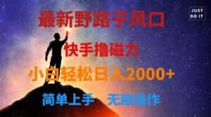 (10754期)最新风口!快手撸磁力,野路子,小白无脑操作日入2000+-优优云创网
