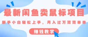 （10755期）最新闲鱼卖鼠标项目,新手小白轻松上手，月入过万简简单单的赚钱教学-优优云创网