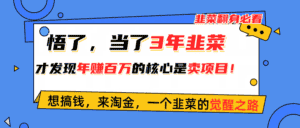 (10759期)悟了,当了3年韭菜,才发现网赚圈年赚100万的核心是卖项目,含泪分享!-优优云创网