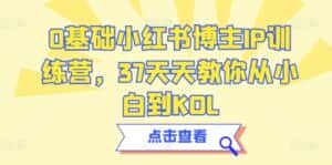 0基础小红书博主IP训练营,37天天教你从小白到KOL-优优云创网