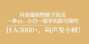 （10766期）抖音最新野路子玩法，一单35，小白一部手机即可操作，，日入3000+，闷…-优优云创网