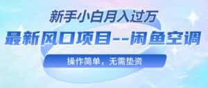 (10767期)最新风口项目—闲鱼空调,新手小白月入过万,操作简单,无需垫资-优优云创网
