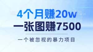 （10765期）4个月赚20万！一张图赚7500！多种变现方式，一个被忽视的暴力项目-优优云创网