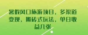 暑假风口旅游项目,多渠道变现,搬砖式玩法,单日收益几张-优优云创网
