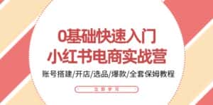 0基础快速入门小红书电商实战营:账号搭建/开店/选品/爆款/全套保姆教程-优优云创网