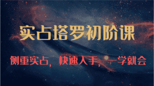 实占塔罗初阶课：独特的牌意解读学习结构，侧重实占，快速入手，一学就会（47节）-优优云创网