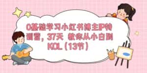 0基础学习小红书博主IP特训营【第5期】，37天教你从小白到KOL（13节）-优优云创网