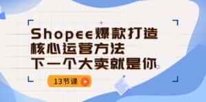 Shopee爆款打造核心运营方法,下一个大卖就是你(13节课)-优优云创网