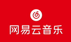 (10785期)网易音乐人2024.5月最新教程,简单无脑,收益第二天可见-优优云创网