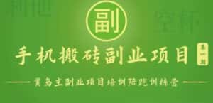 手机搬砖小副业项目训练营1.0，能用手机做的简单小副业-优优云创网