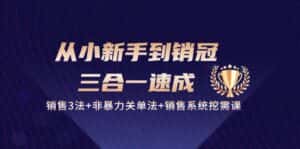 从小新手到销冠三合一速成:销售3法+非暴力关单法+销售系统挖需课 (27节)-优优云创网