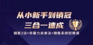 从小新手到销冠 三合一速成:销售3法+非暴力关单法+销售系统挖需课 (27节)-优优云创网