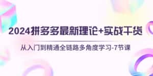 （10816期）2024拼多多 最新理论+实战干货，从入门到精通全链路多角度学习-7节课-优优云创网