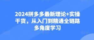 2024拼多多最新理论+实操干货,从入门到精通全链路多角度学习-优优云创网