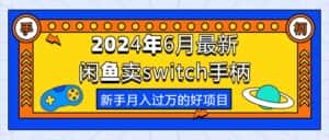 (10831期)2024年6月最新闲鱼卖switch游戏手柄,新手月入过万的第一个好项目-优优云创网