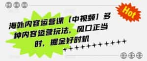 海外内容运营课【中视频】多种内容运营玩法，风口正当时，掘金好时机-优优云创网