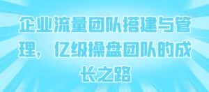 企业流量团队搭建与管理，亿级操盘团队的成长之路-优优云创网