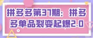 拼多多第37期:拼多多单品裂变起爆2.0-优优云创网