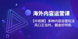 （10833期）海外内容 运营课【中视频】多种内容运营玩法 风口正当时 掘金好时机-101节-优优云创网