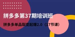 (10835期)拼多多第37期培训班:拼多多单品裂变起爆2.0(17节课)-优优云创网