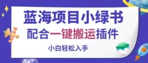 (10841期)蓝海项目小绿书,配合一键搬运插件,小白轻松入手-优优云创网