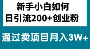 (10843期)新手小白日引流200+创业粉,通过卖项目月入3W+-优优云创网