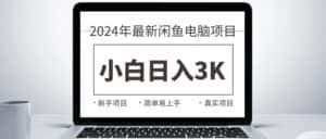 (10845期)2024最新闲鱼卖电脑项目,新手小白日入3K+,最真实的项目教学-优优云创网