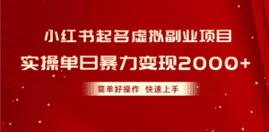 (10856期)小红书起名虚拟副业项目,实操单日暴力变现2000+,简单好操作,快速上手-优优云创网