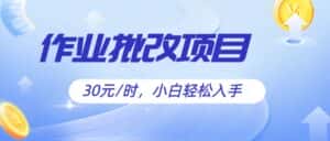 作业批改项目30元/时，简单小白轻松入手，非常适合兼职-优优云创网